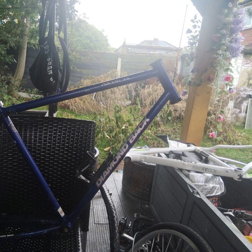 Vintage diamond back ascent - diamond,