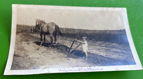 Vintage farm snapshot boy - snapshot,
