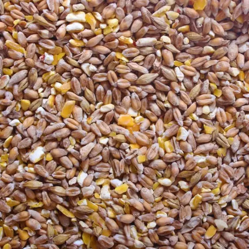 Mixed corn for - corn, and
