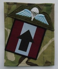 British Army Parachute Regiment Pathfinder MTP/Blanking Panel & Para Wings