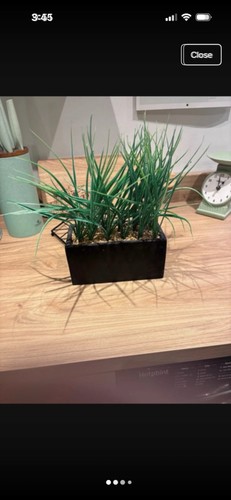 Artificial plant planter - in,