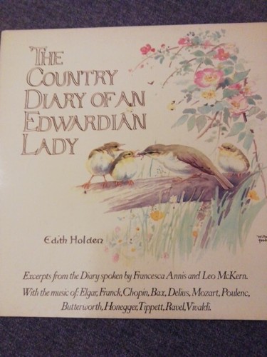 Vintage diary edwardian - vintage,