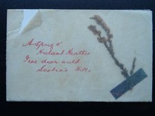 Scotland A Sprig O' HIELAN HEATHER Hand Made with REAL HEATHER Old PC by Cynicus