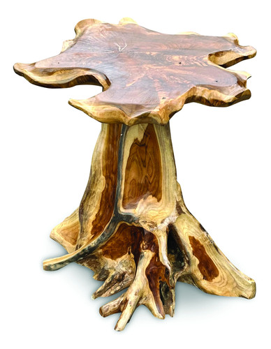 Lombok mushroom side - mushroom, table