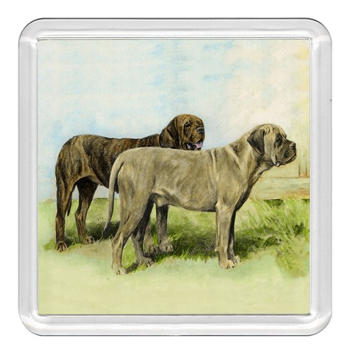 Mastiff dog acrylic - mastiff, coaster