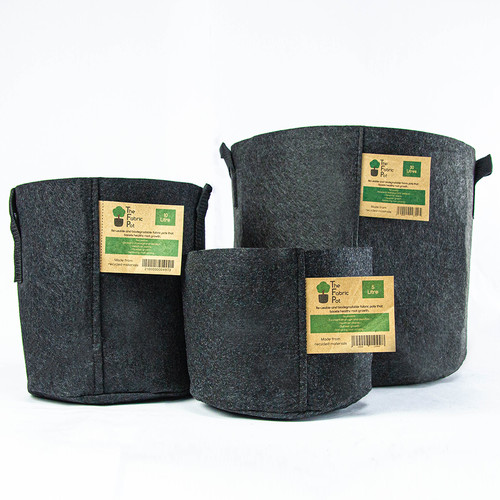 Fabric root pots smart - fabric, plant