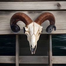 Ram Head Trophy Wall Plaque Mounted Sheep Skull Gothic Home Decor Wicca Pagan