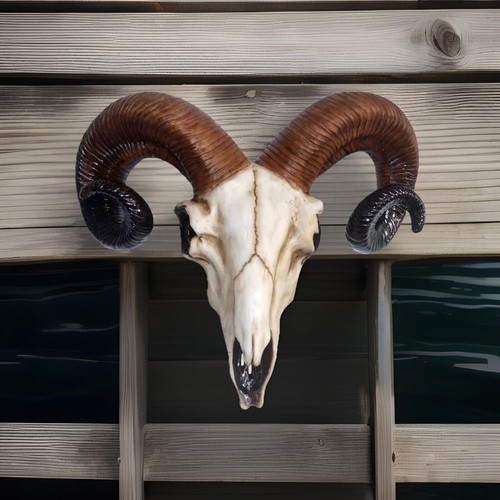 Ram head trophy wall plaque - wall,