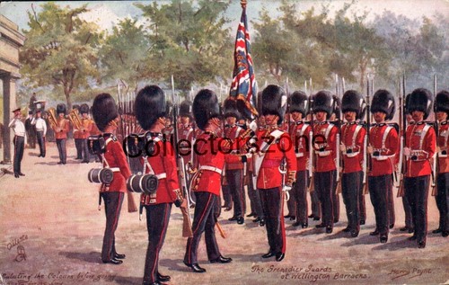 Grenadier guards at - grenadier,