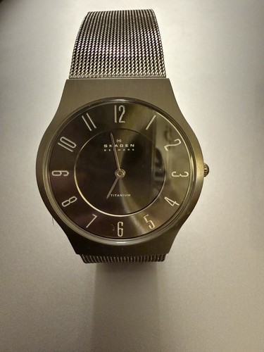 Skagen denmark titanium mesh - skagen,