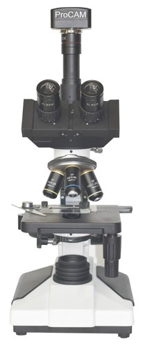 Professional 2500 pathology - professional, 2500×