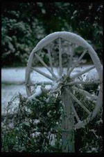 513028 Winter Carriage Wheel New York A4 Photo Print