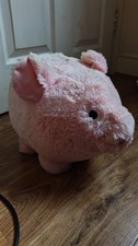 Extra Large Piggy Bank Money