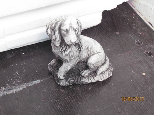 Springer spaniel concrete - spaniel, (concrete