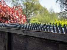 Fence wall spikes garden - spikes,