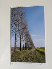 Signed Limited Edition Print