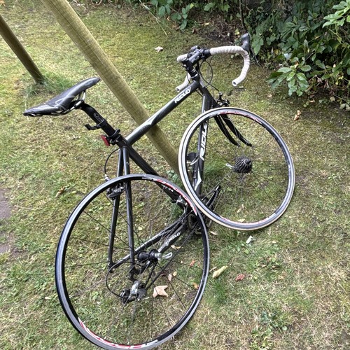 Ridley triton 56in - ridley, road