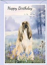 Afghan Hound Dog (4"x 6") Birthday Card  blank inside - by Starprint