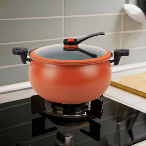 Micro pressure cooker large - micro,