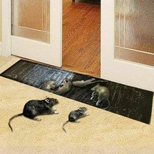 Mouse Traps Rat Mice Mouse