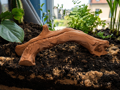 Printed reptile climbing - 3d,