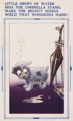 Edwardian bamforth comic - edwardian,