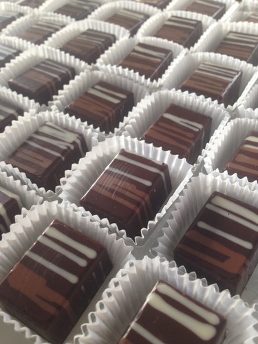 Rectangle praline cup - praline,
