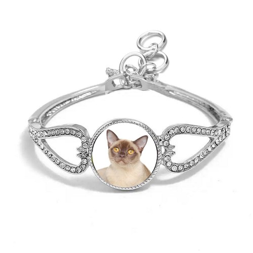 Burmese cat silver colour - cat,