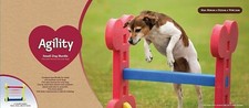 Rosewood Agility - Small Dog