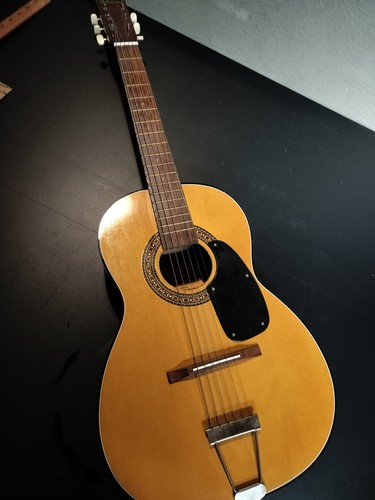 Vintage cameo acoustic - cameo,
