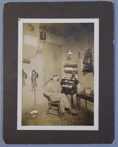 Early 1900 shop office horse - early,
