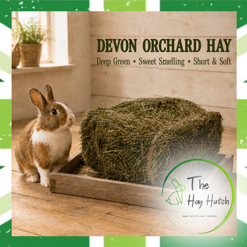 3kg mini bales devon - 3kg, of
