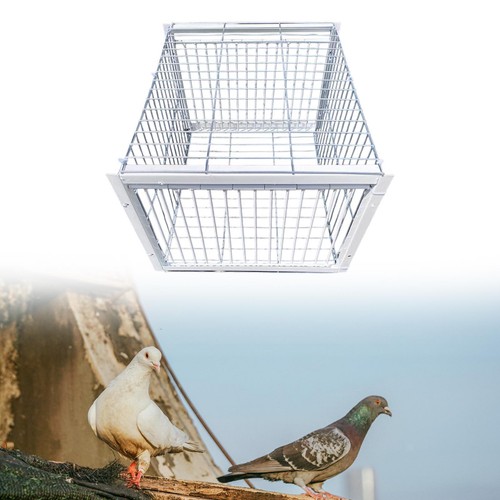 Bird cage metal welding animal - cage,