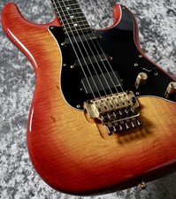 Valley Arts Custom Pro USA  1