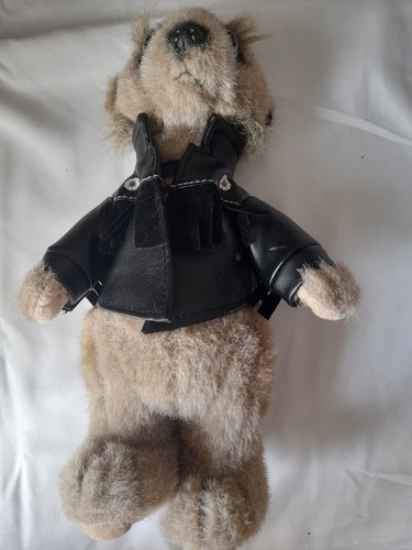 Vassily compare the - ~, meerkat