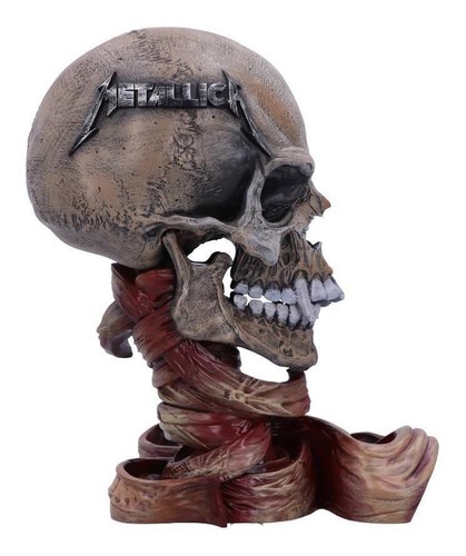 Metallica pushead skull - metallica,