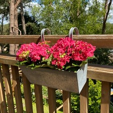 2 x Balcony Planters for