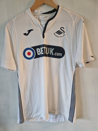 Swansea city afc home - swansea,