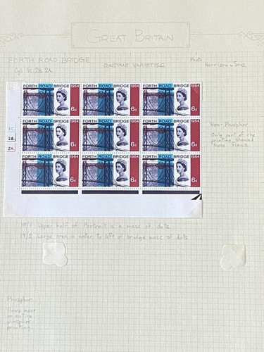 Specialised collection mint - specialised,