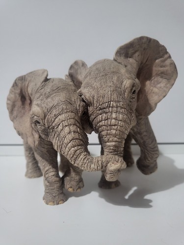 Tuskers elephant matthew - tuskers, and