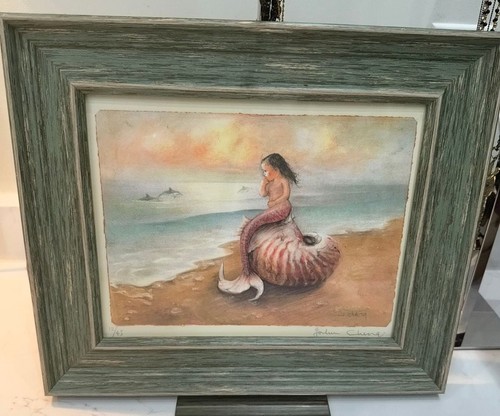 Mermaid nautilus shell - nautilus,