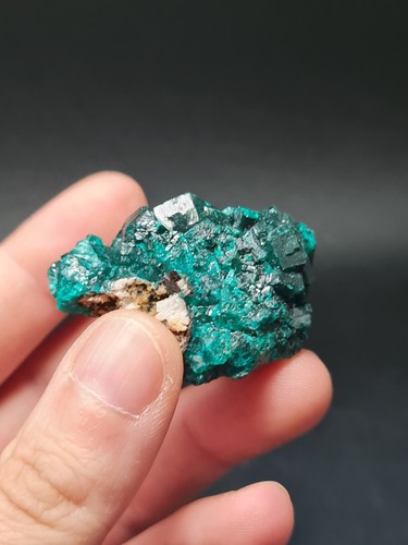 Dioptase specimen congo - dioptase,