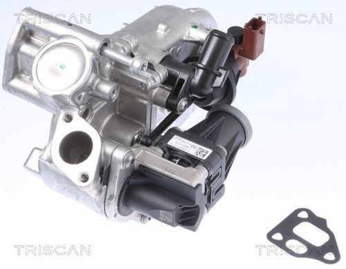 Egr valve triscan - egr,