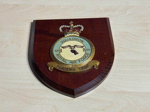 Xxv squadron feriens tego - squadron, raf
