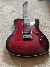 Fender Special Edition Custom