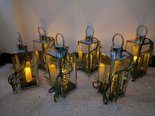Woodland decorated lanterns - woodland,