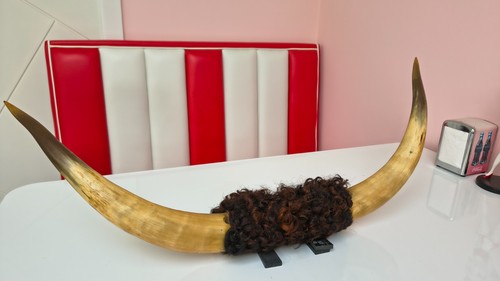 Antique vintage bull - vintage, cattle