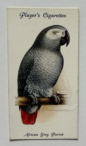 Player aviary cage birds - &,