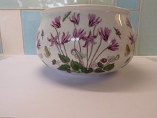 Vintage Portmeirion Botanic