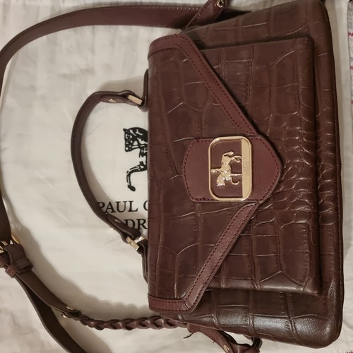 Paul costelloe dressage - paul,